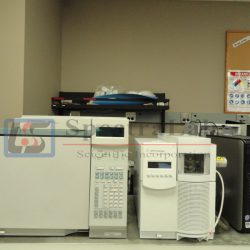 Agilent 6890N Network Gas Chromatograph with 5975 Inert XL MSD