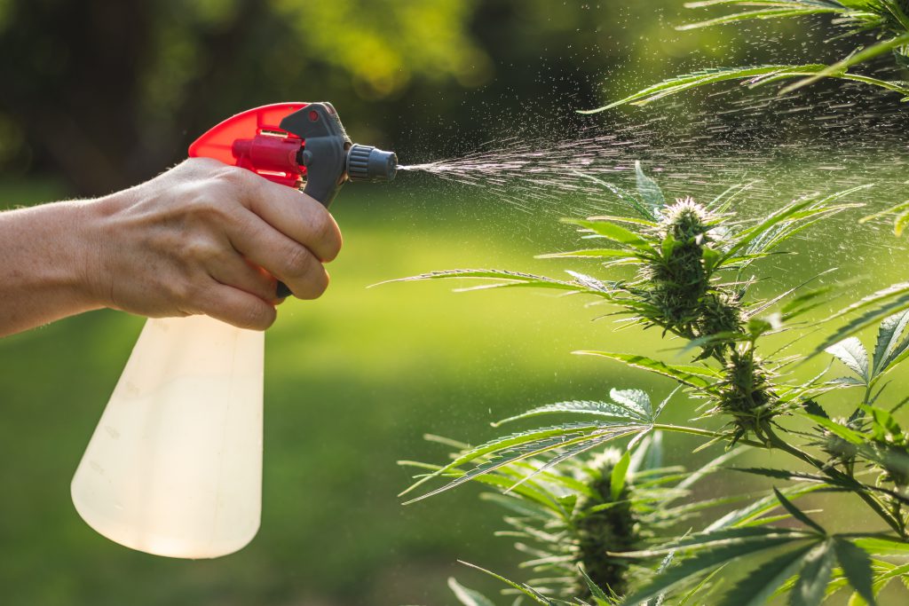 Pesticide and Herbicide Screening